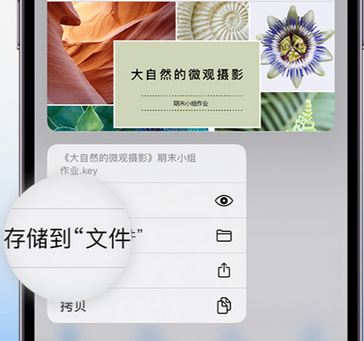 和顺apple维修中心分享iPhone文件应用中存储和找到下载文件