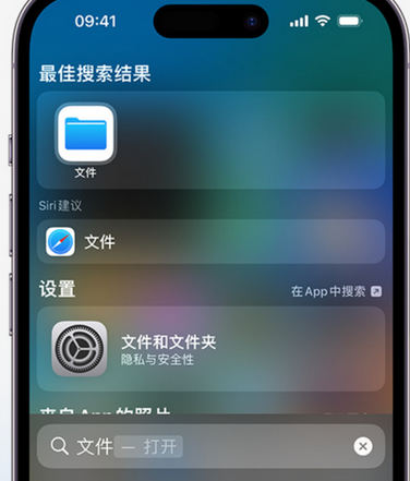 和顺apple维修中心分享iPhone文件应用中存储和找到下载文件 