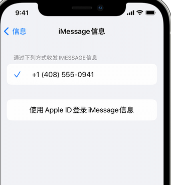 和顺apple维修iPhone上无法正常发送iMessage信息 