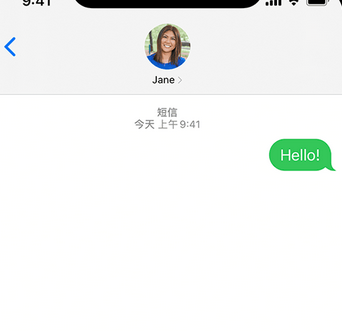 和顺apple维修iPhone上无法正常发送iMessage信息