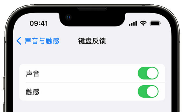 和顺苹果手机维修分享iPhone 14触感键盘使用方法 