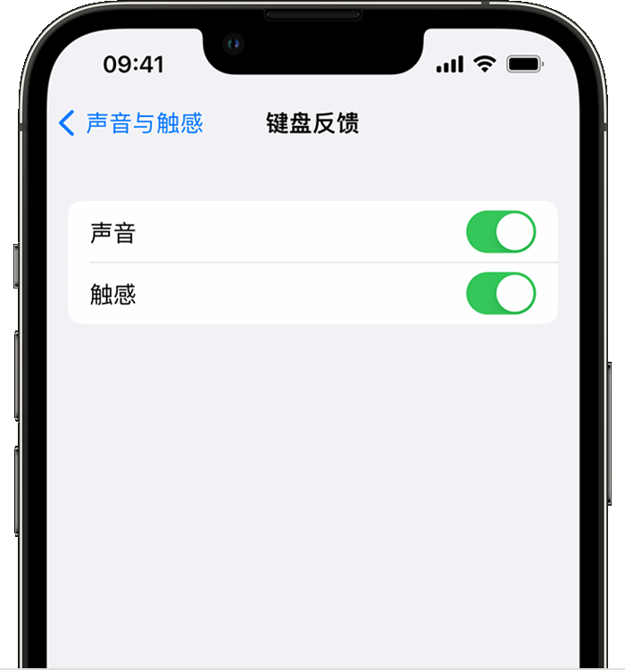 和顺苹果14维修店分享如何在 iPhone 14 机型中使用触感键盘 