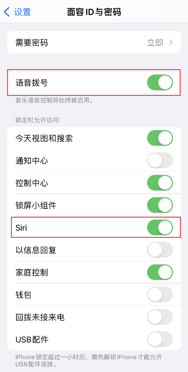 和顺苹果维修网点分享不解锁 iPhone 的情况下通过 Siri 拨打电话的方法 