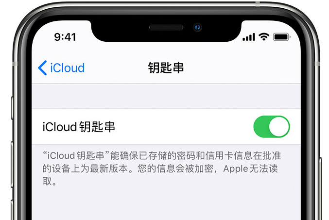 和顺苹果手机维修分享在 iPhone 上开启 iCloud 钥匙串之后会储存哪些信息 