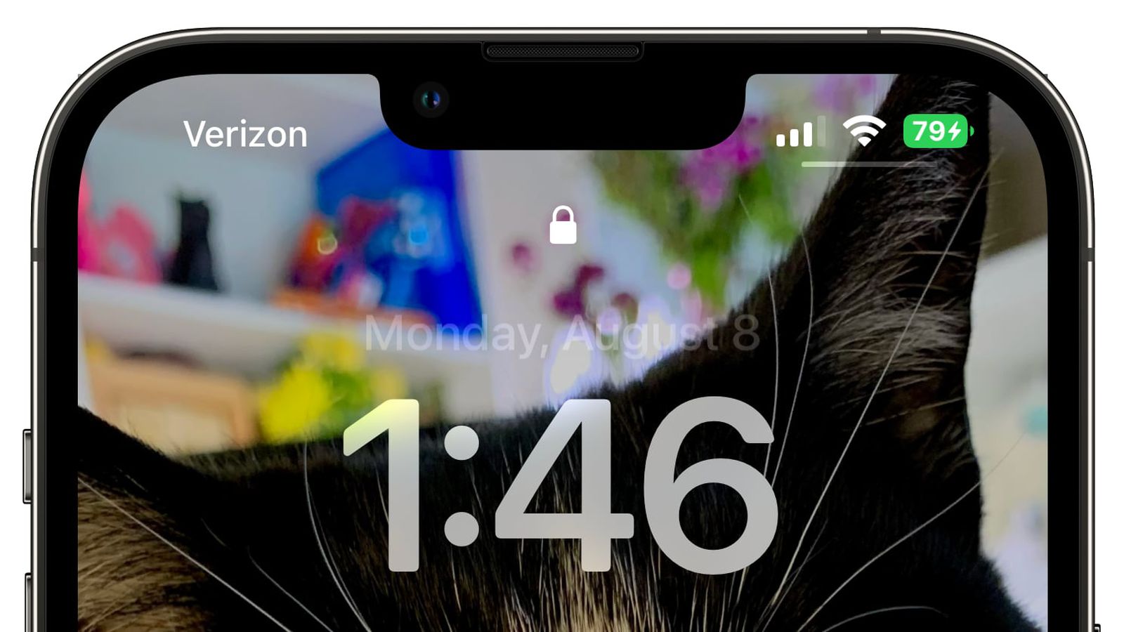 和顺苹果手机维修分享iOS 16 beta 5 支持状态栏显示电池百分比，如何开启？支持哪些机型 