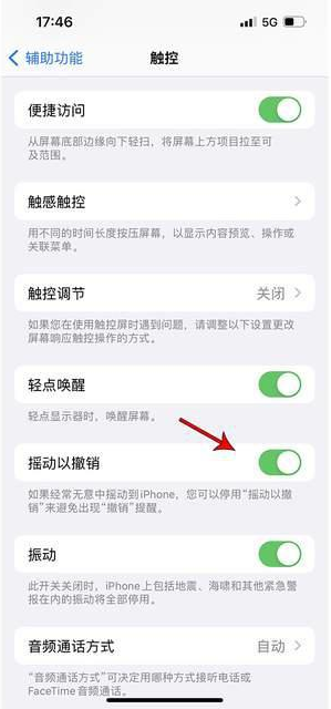 和顺苹果手机维修分享iPhone手机如何设置摇一摇删除文字 