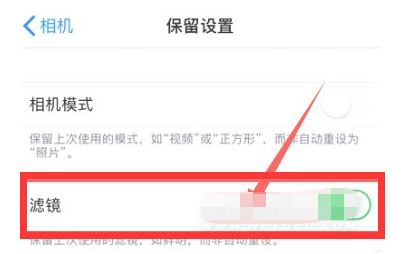 和顺苹果13维修分享iPhone13拍照有绿点是怎么回事 