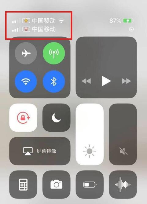 和顺苹果手机维修分享为 iPhone 12 双卡设置标签 